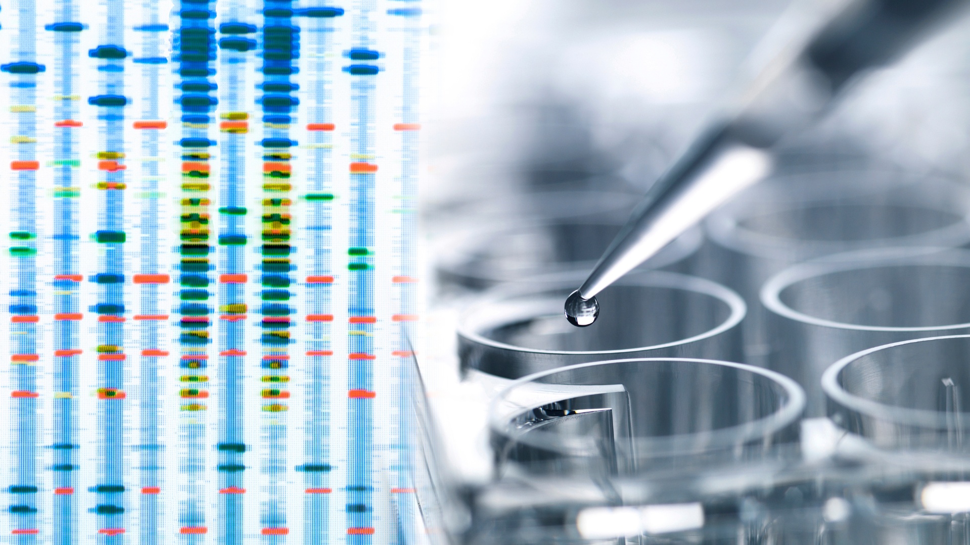 Κληρονομικότητα και καρκίνος του μαστού